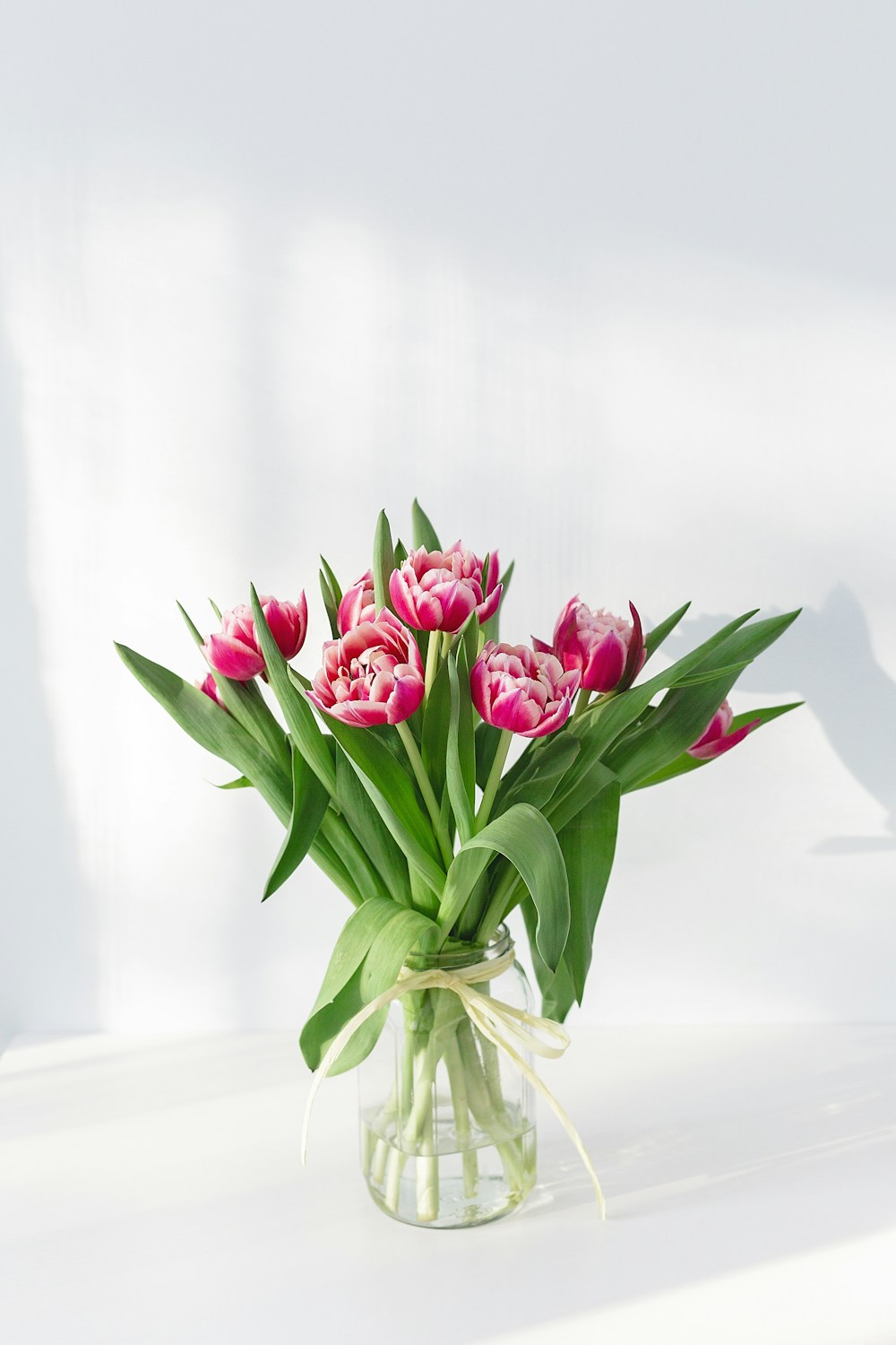 Fresh pink tulips in a clear glass vase, lit by natural window light